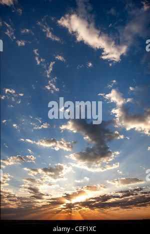 Dawn near Keetmanshoop, Southern Namibia, Africa Stock Photo