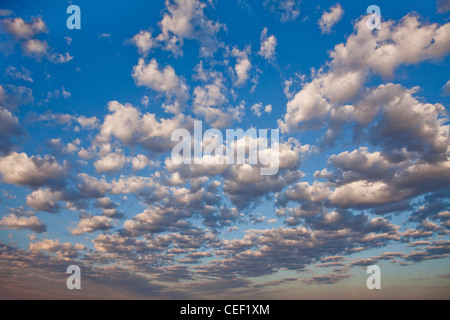 Dawn near Keetmanshoop, Namibia Stock Photo