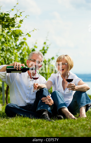 Happy mature couple - senior people (man and woman) already retired - drinking wine at lake in summer Stock Photo