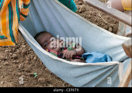 Baby sleeping in the crib on the farmland, Rajasthan, India Stock Photo