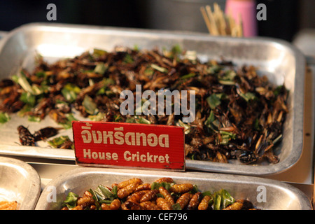 House Crickets sold as food at the Night Bazaar Food Court in Chiang Rai, Thailand. Stock Photo