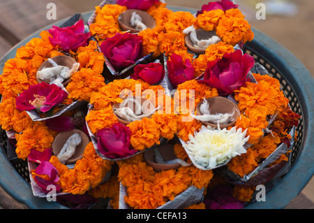 to be offered to the river ganga in prayer Stock Photo