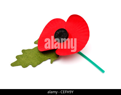 Poppy cut out on white background Stock Photo