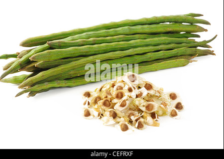 Moringa on white background Stock Photo