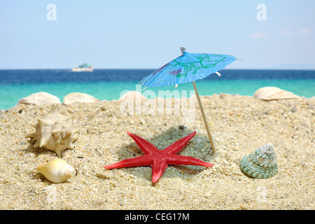Summer scene #7 - starfish catching shadow Stock Photo