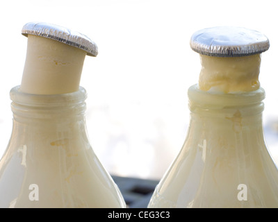 The tops of two milk bottles in which the milk has frozen in winter. Stock Photo