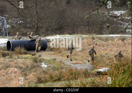 Members from The Prince of Wales' Company, 1st Battalion Welsh Guards, going over the assault course February 2012 at Sennybridg Stock Photo