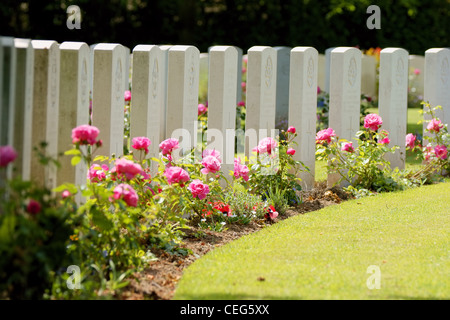 War Graves Stock Photo