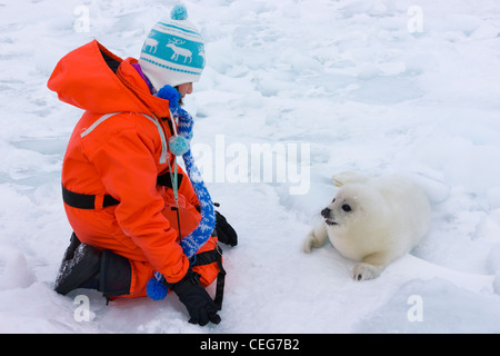 Girl with Harp Seal pup on ice, Iles de la Madeleine, Canada Stock Photo