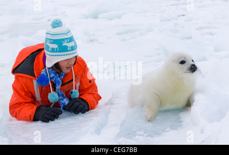 Girl with Harp Seal pup on ice, Iles de la Madeleine, Canada Stock Photo
