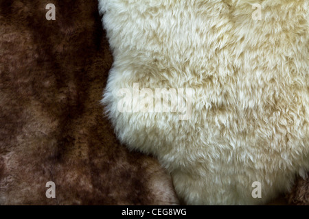White and brown fur on a market in Warsaw Stock Photo