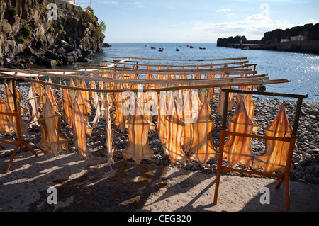 Air-dried Bacalhau cod, outside,  fishing, food, dry, sea, traditional. Salted Fish Drying in the sun at Câmara De Lobos village, Madeira, Portugal Stock Photo