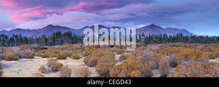 Mountains near Te Anau as seen from the Wilderness Area Scientific Reserve Stock Photo