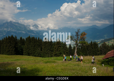 A medium group of walkers  in the countryside around Megève. Haute Savoie. France Stock Photo