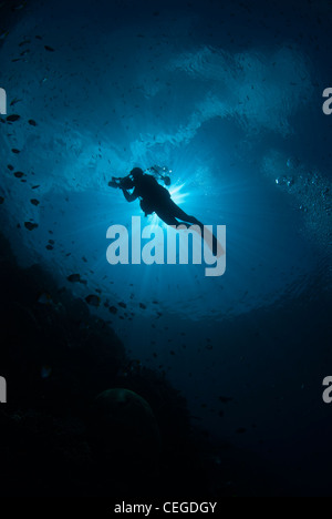 A Diver Photographer swim just in front of the sun. Bunaken Marine Park Indonesia Stock Photo