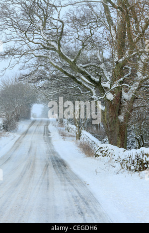 Snow covers the road and trees near Barden, Wharfedale, Yorkshire on a winter morning Stock Photo
