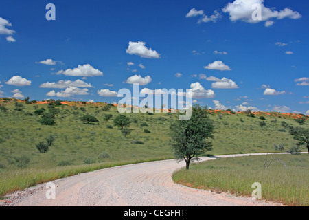 Road in Africa, Kgalagadi NP Stock Photo