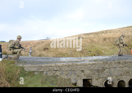 A British army solder 'Vallon man' looking for IED's using a Vallon metal detector, he will lead a patrol, sweeping the route fo Stock Photo