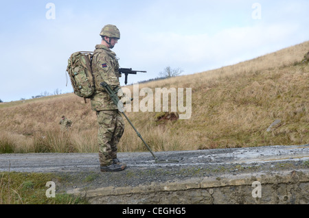 A British army solder 'Vallon man' looking for IED's using a Vallon metal detector, he will lead a patrol, sweeping the route fo Stock Photo