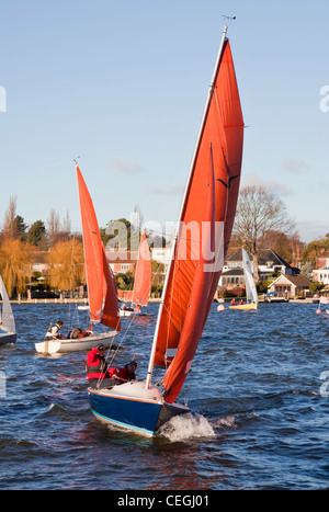 Sailing dinghy racing on Oulton broad. Stock Photo