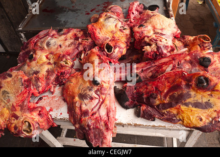 Cow's heads sit displayed on a counter for sale, bloody and skinned with eyeballs, in the central market in Latacunga, Ecuador. Stock Photo