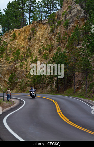 American Black Hills Custer State Park South Dakota in USA US a mountain road from above vertical hi-res Stock Photo