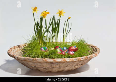 Happy Easter the chocolate candies eggs wrapped pictures images photos large high resolution isolated cutout cut out horizontal in USA US hi-res Stock Photo