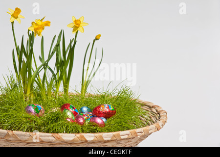 Happy Easter with the chocolate candies eggs and yellow flowers pictures images photos large high resolution horizontal in USA US hi-res Stock Photo