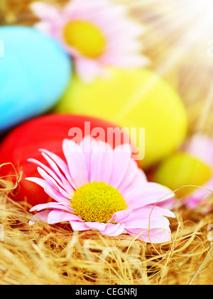 Decorative Easter eggs with spring flower and sun light, selective focus Stock Photo