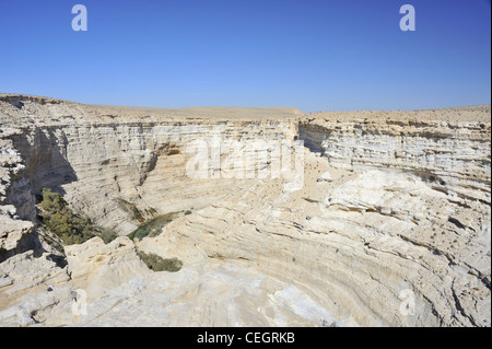 Ein Avdat National park, Ein Avdat Canyon Negev desert Israel Stock Photo