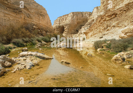 Horizontal oriented image of small pond among mountains at Ein Avdat Canyon in Negev desert, Israel. Stock Photo