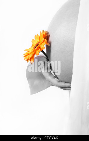 Beautiful Pregnant Woman with flower on tummy isolated in a white background Stock Photo