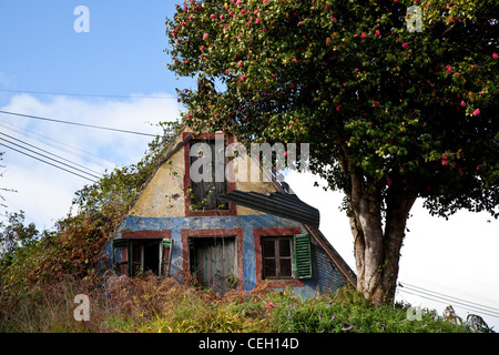 Traditional triangular A-framed Palheiro thatched Portuguese houses. Old overgrown village garden, building, architecture, landscape Santana, Madeira, Stock Photo