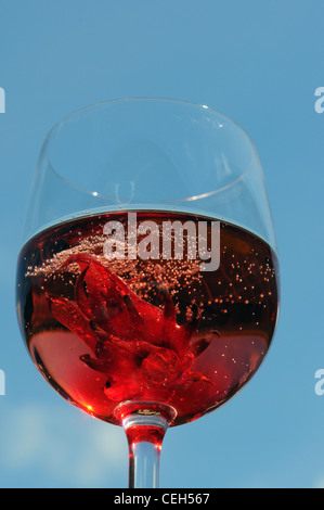 A hibiscus flower in a glass of champagne Stock Photo