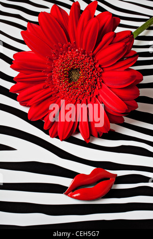 Red mum and red lips pin Stock Photo