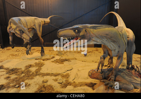 dinosaurs at the museum of Valle de la luna national park Stock Photo