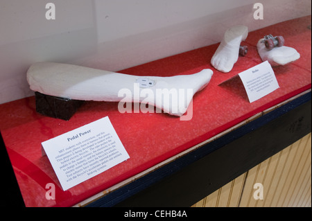 Satirizing MIT's newest major (Biological Engineering), hackers representing 'Stepford Labs' at the MIT Department of Biological Engineering installed a display case full of 'enhanced' simulated body parts in MIT's Infinite Corridor on 2/7/10. Stock Photo