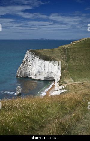 A view of Bat's Head looking west towards White Nothe on the coastal footpath on the Jurassic coast in Dorset, UK. Stock Photo