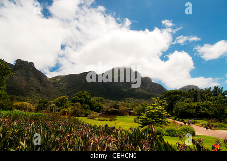 Kirstenbosch National Botanical Garden, Cape Town, South Africa Stock Photo