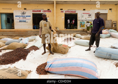 Cacao in the street Duékoué republic of Côte d'Ivoire Ivory Coast Stock Photo