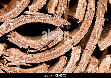 Insect nesting habitat made from tree bark Stock Photo