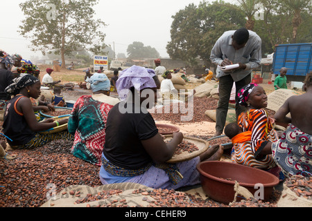Cacao in the street Duekoue Ivory Coast Stock Photo