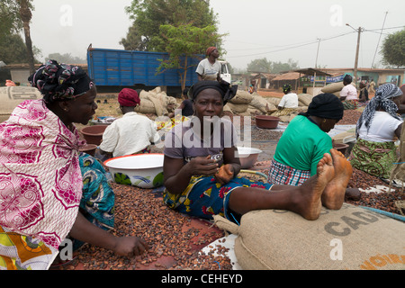 Cacao in the street Duekoue Ivory Coast Stock Photo