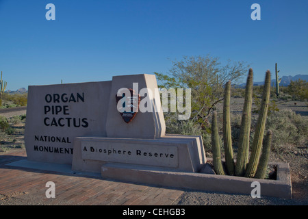 Ajo, Arizona - Organ Pipe Cactus National Monument. Stock Photo