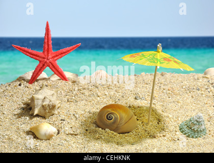 Summer scene #8 - nautilus catching shadow Stock Photo