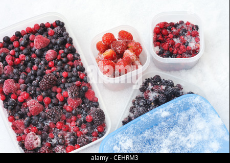 Plastic containers of frozen mixed berries in snow - still life Stock Photo