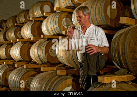 Man tasting brandy in cellar,KWV Wine estate,Paarl Valley,Cape Wine Route,Western Cape Province Stock Photo