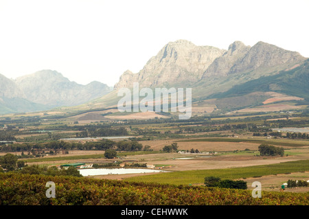 View of vineyard with Mountains in the background,Seidelberg Wine Estate,Cape Wine Route,Paarl,Western Cape Province Stock Photo