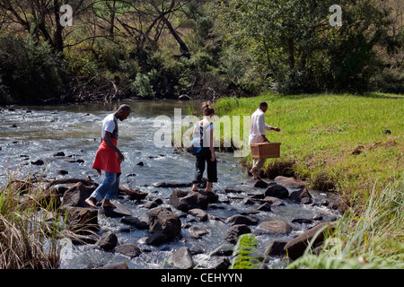 Granny Mouse's Country House,Balgowan,KwaZulu-Natal,Midlands Stock Photo