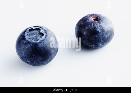 Two Blueberries on a white background Stock Photo